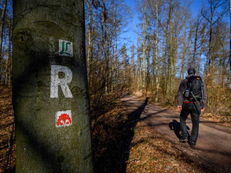 Thüringer Wald: Lebensgefährliche Wanderwege? Bergwacht schlägt Alarm