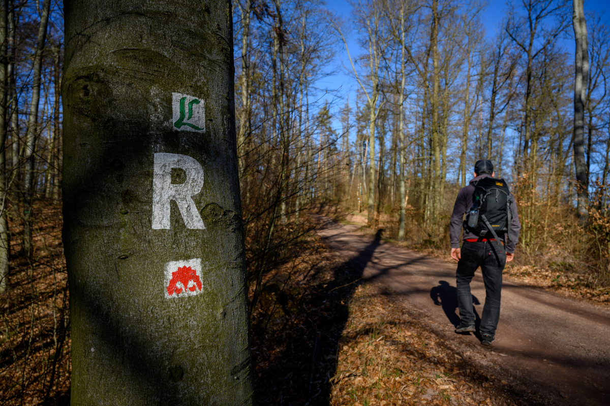 Ein Wanderer läuft über den Thüringer Rennsteig bei der Drachenschlucht in Eisenach.