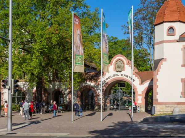 Zoo Leipzig: Pfleger packt über ungeahntes Risiko aus! „Kann tödlich ausgehen“