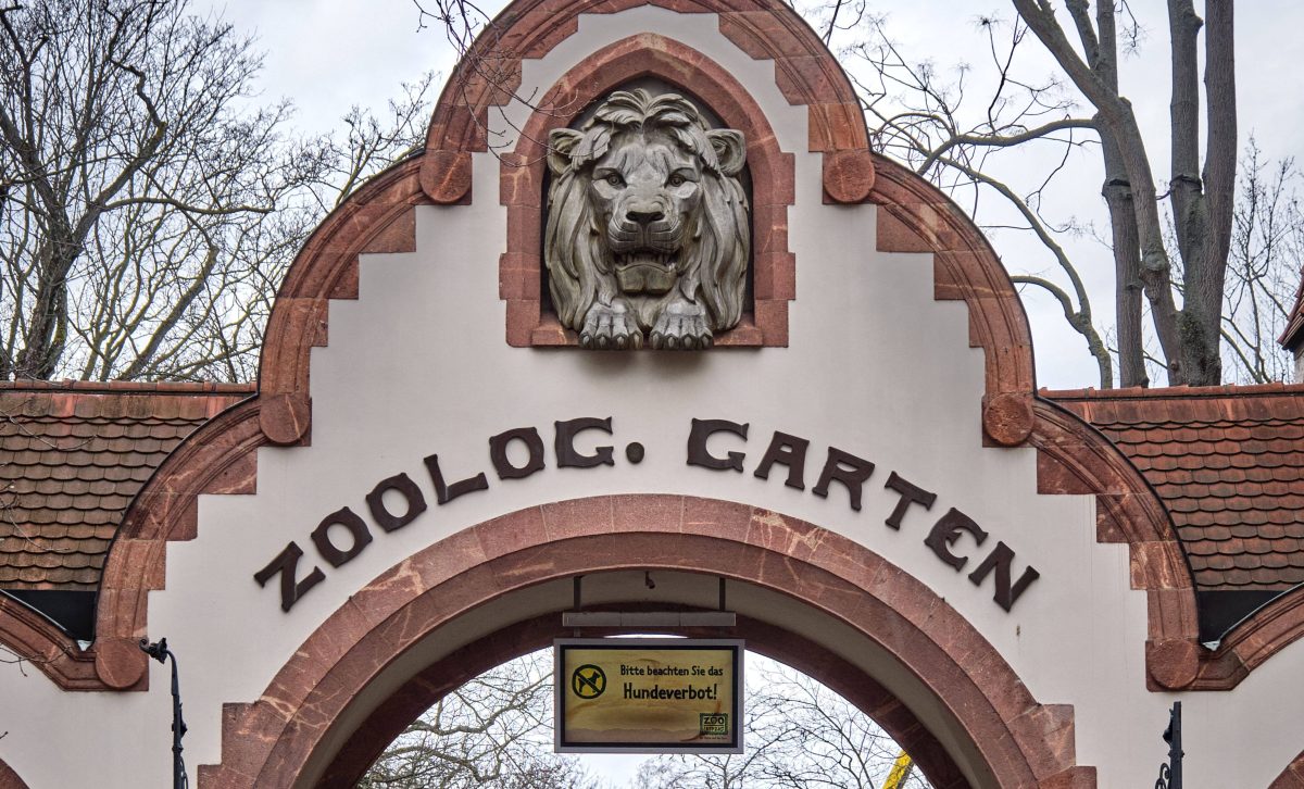 Zoo-Leipzig-Pfleger-packen-aus-Gibt-eine-kleine-berraschung-