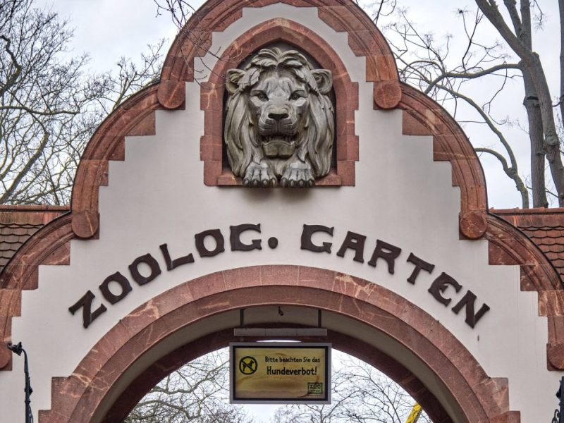 Zoo Leipzig: Pfleger packen aus – „Gibt eine kleine Überraschung“