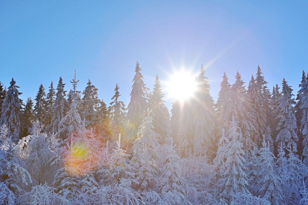 Wetter in Thüringen