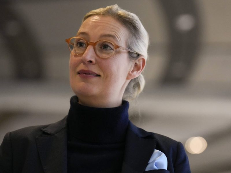 AfD: Alice Weidel will den Reichsten 34 Milliarden Euro Steuern schenken