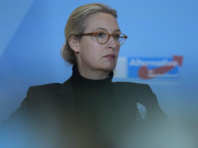 Alice Weidel: Plötzlich gibt es einen AfD-Aufstand gegen ihr Lebensmodell