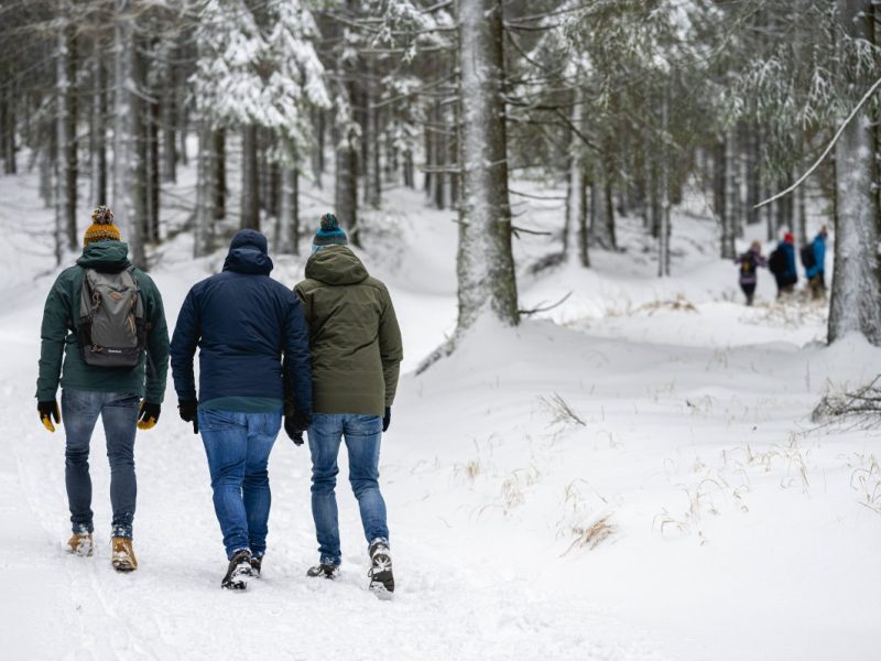 Wetter in Thüringen: Wintermöhre in Anmarsch? Experte wird deutlich