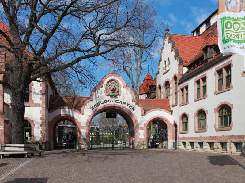 Zoo Leipzig: Pflegerin packt über irren Winter-Moment aus! „Verrückt anzusehen“