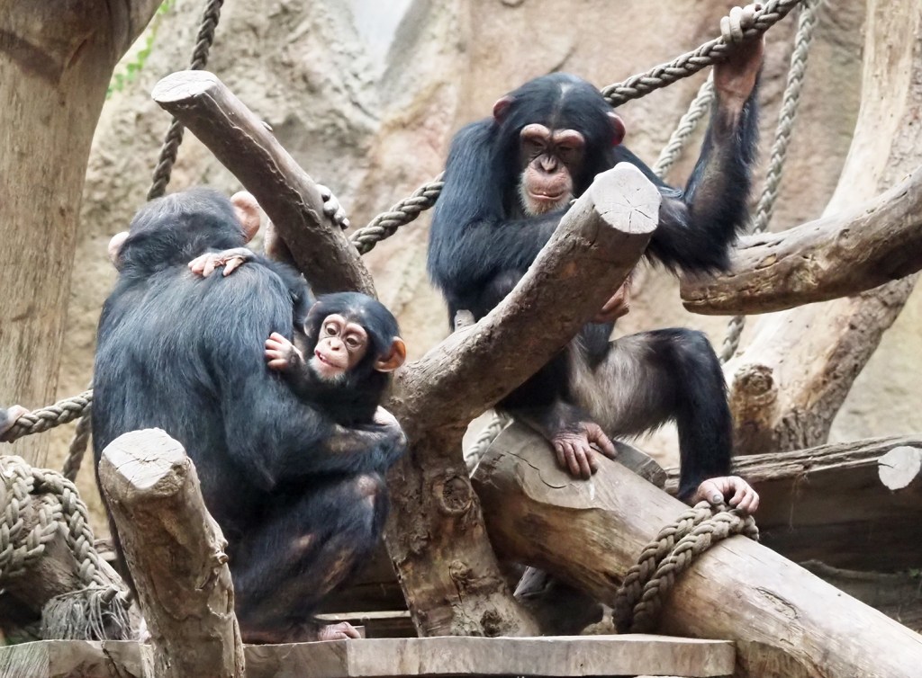 Zoo Leipzig