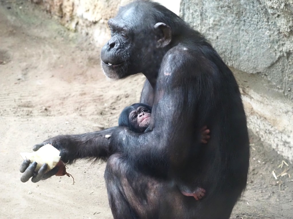 Zoo Leipzig