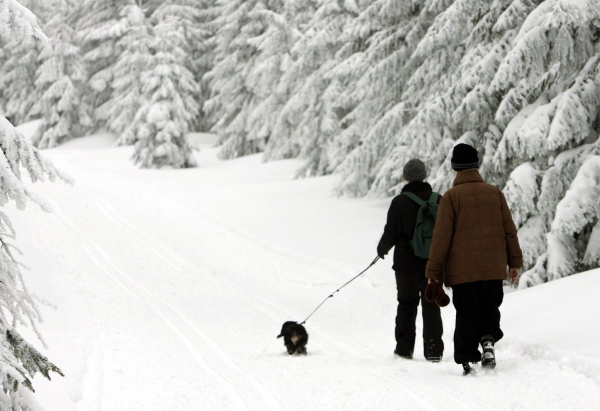 Für Wanderer im Thüringer Wald könnte es ziemlich gefährlich werden. (Archivbild)