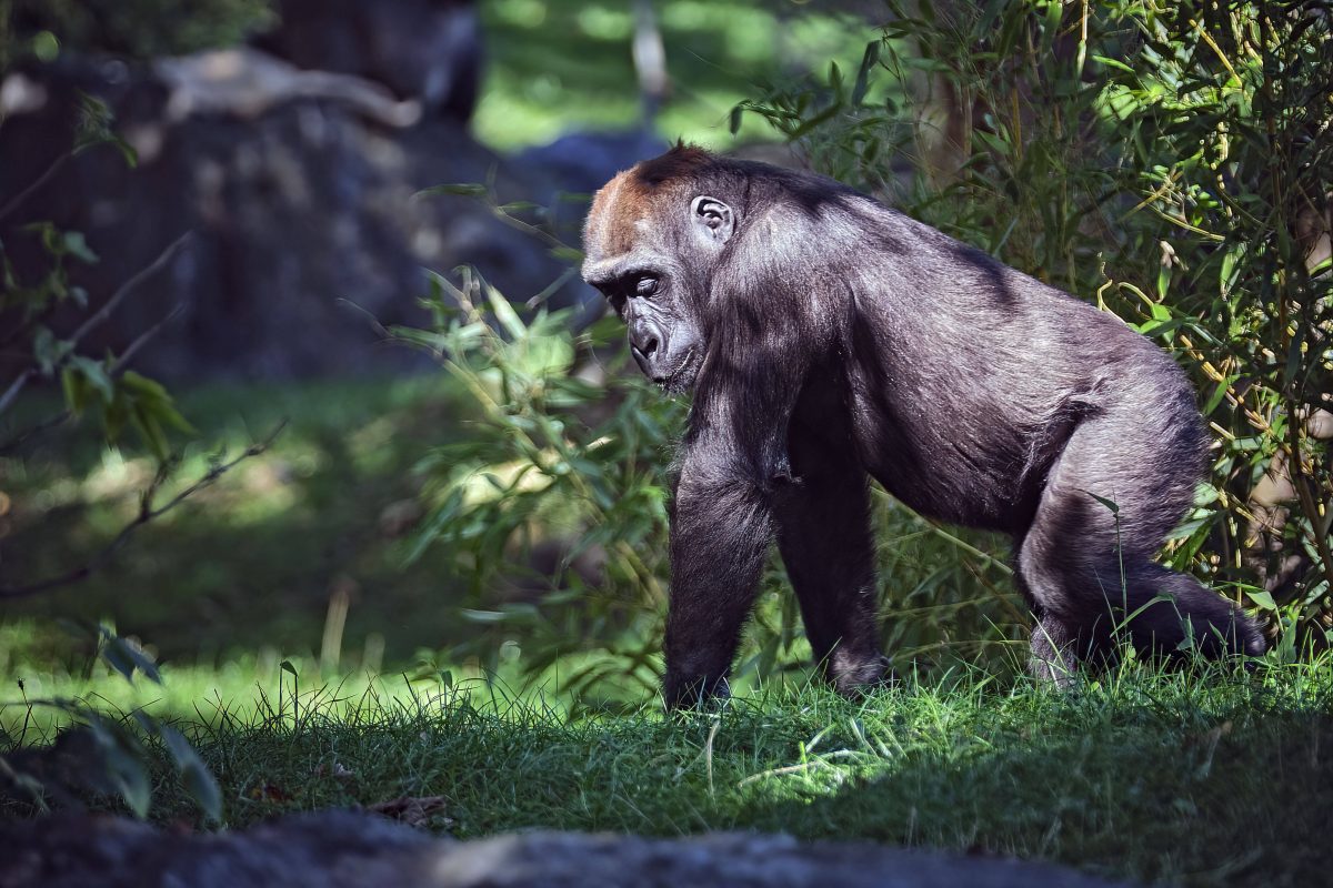 zoo leipzig