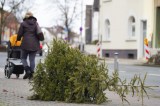 Die Entsorgung der Weihnachtsbäume steht an. Was zu tun ist... (Symbolbild)