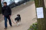 Ein Hund in Thüringen hat einen Giftköder entdeckt.