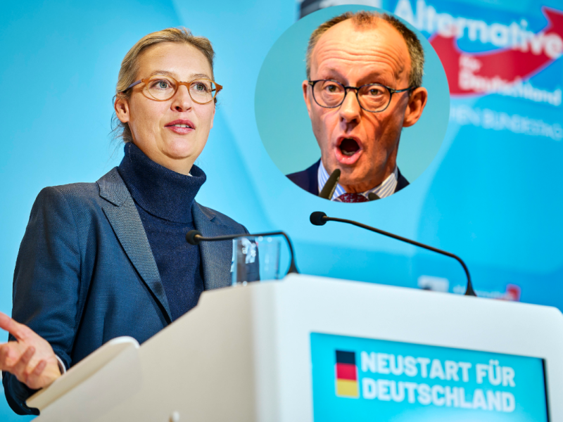 AfD-Furore vor der Bundestagswahl: „Mehrheit will Blau-Schwarze Koalition!“