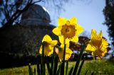 Der FrÃ¼hling macht sich auch in ThÃ¼ringen breit.