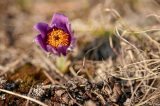 Ein Wettermodell sieht fÃ¼r Flora und Fauna schwarz. Auch in ThÃ¼ringen dÃ¼rfte der FrÃ¼hling viel zu trocken werden. Oder doch nicht?