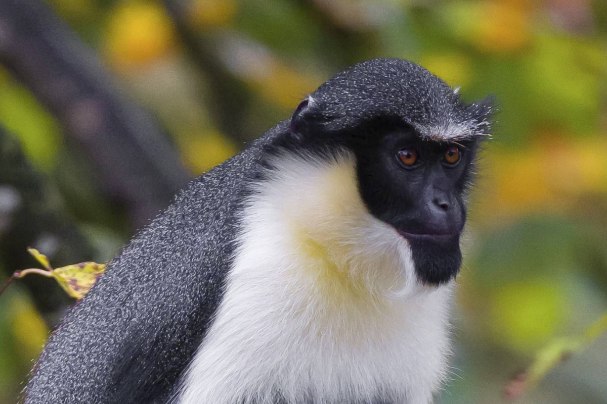 zoo leipzig