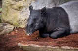 zoo-leipzig