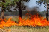 Feuer auf einem TruppenÃ¼bungsplatz in ThÃ¼ringen. (Symbolbild)